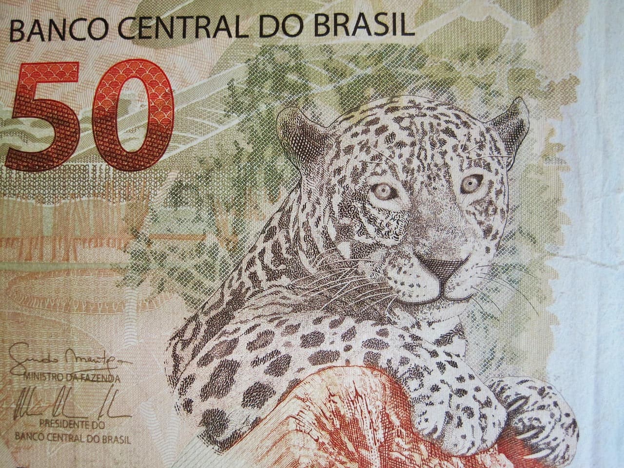 Central Bank Declaration (CBE) Service - Tytle
